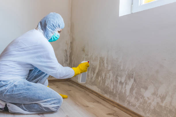 Mold inspector in Wayne performing thermal imaging